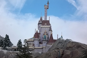 Beasts castle