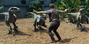 Raptors