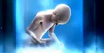 Boy Must Live